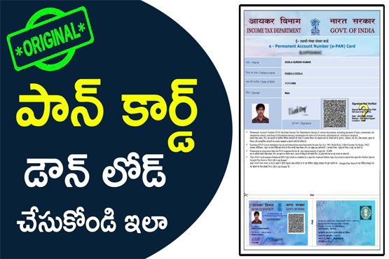How to Download e-PAN Card Online- a Step by Step Guide
