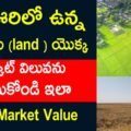 How You Check Market Value For Land in Andhra Pradesh and Telangana