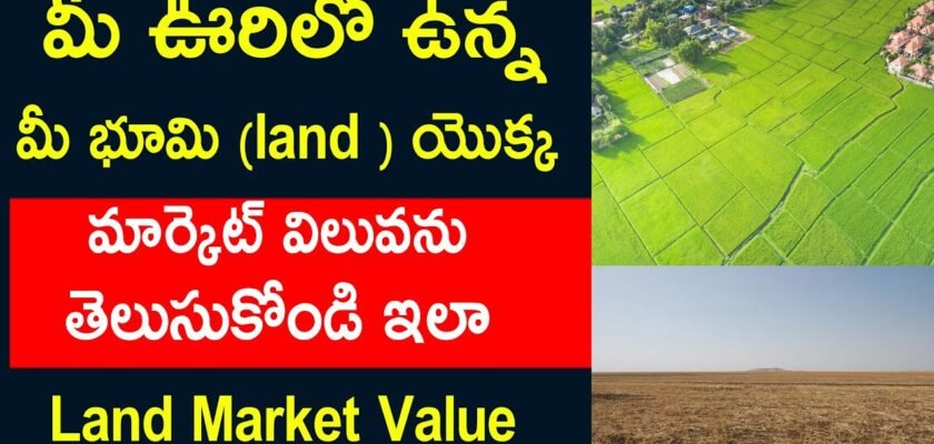 How You Check Market Value For Land in Andhra Pradesh and Telangana