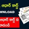 How to download masked aadhaar card online